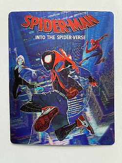 SPIDER-MAN: PARALELN SVTY - Lentikulrn 3D magnet